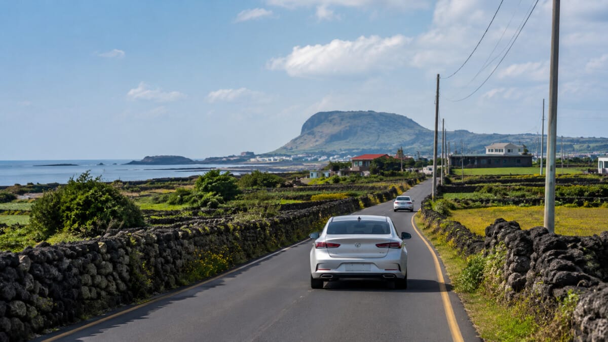 Solo traveler checking a smartphone map beside a rural road on Jeju Island