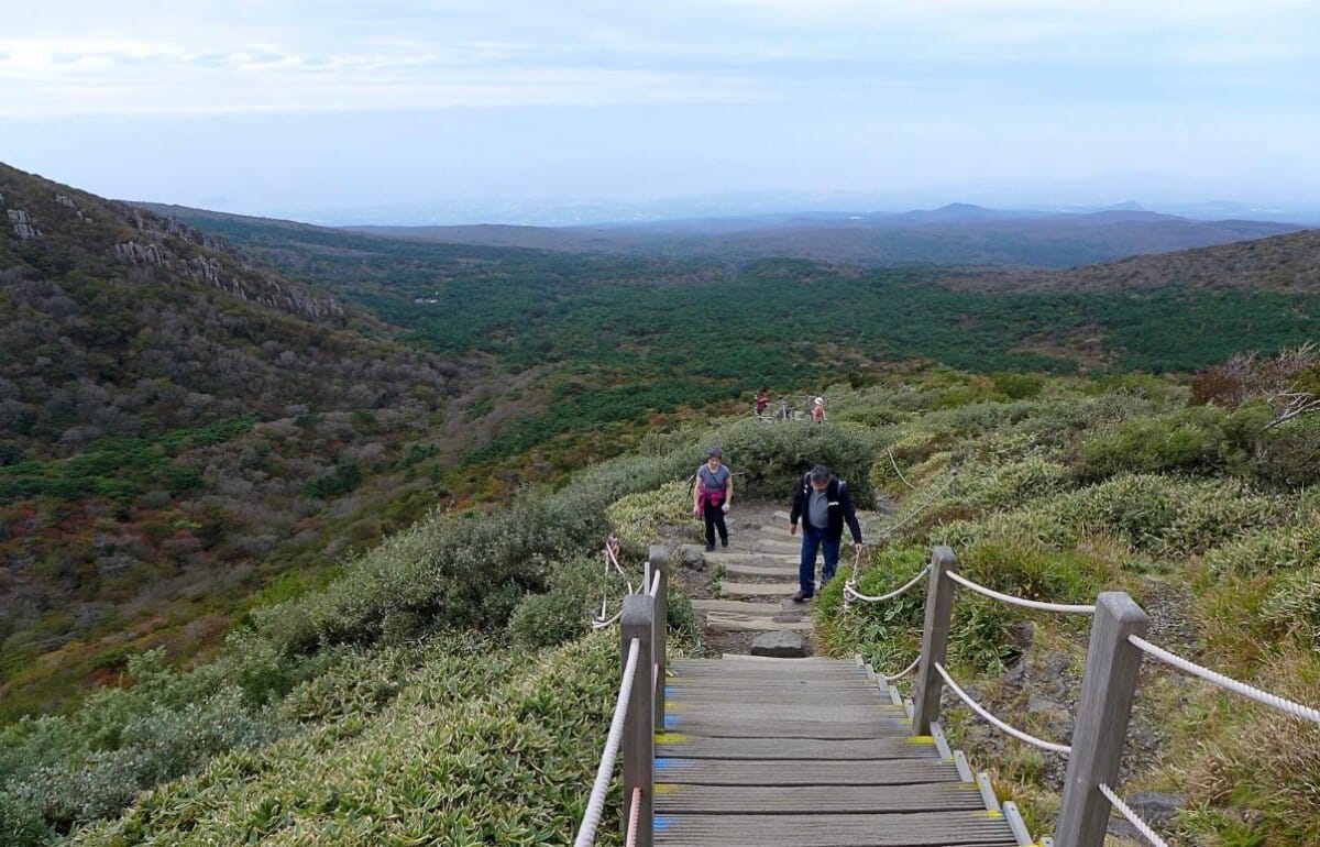 Hallasan hiking trail on Jeju Island where travelers should check trail status and weather before hiking