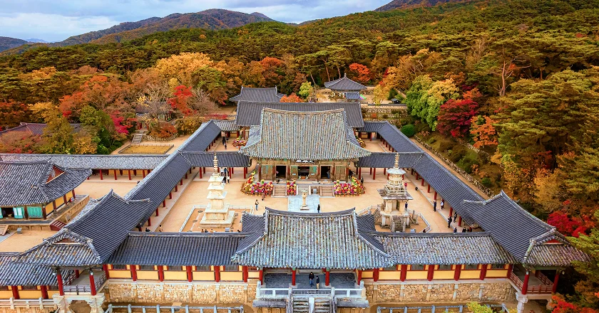 Aerial view of Bulguksa Temple in Gyeongju with autumn foliage on the surrounding hills