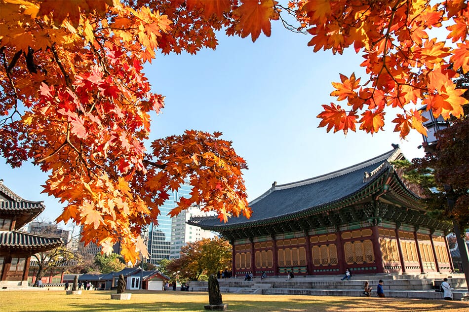 Deoksugung Palace in central Seoul framed by red autumn maple leaves