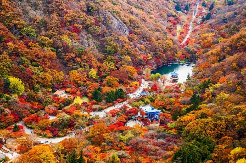 Aerial view of Uhwajeong Pavilion surrounded by dense autumn foliage at Naejangsan