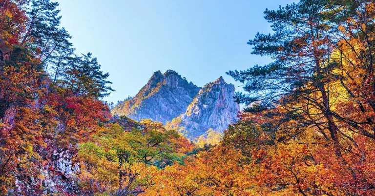 Rocky peaks of Seoraksan Mountain surrounded by red and orange autumn foliage