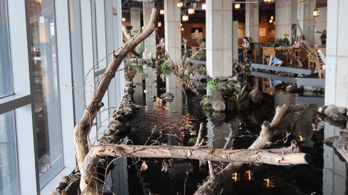 Indoor water garden with rocks, plants and tree branches at Jejudang Bakery Cafe