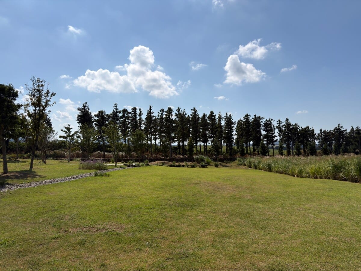 Wide lawn and landscaped garden outside Jejudang Bakery Cafe in Aewol