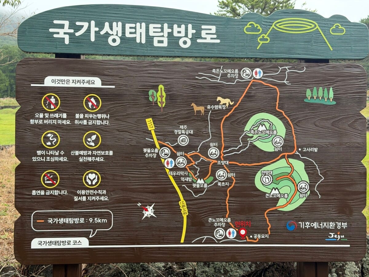 Forest trail on the way up Nokkome Oreum in Jeju