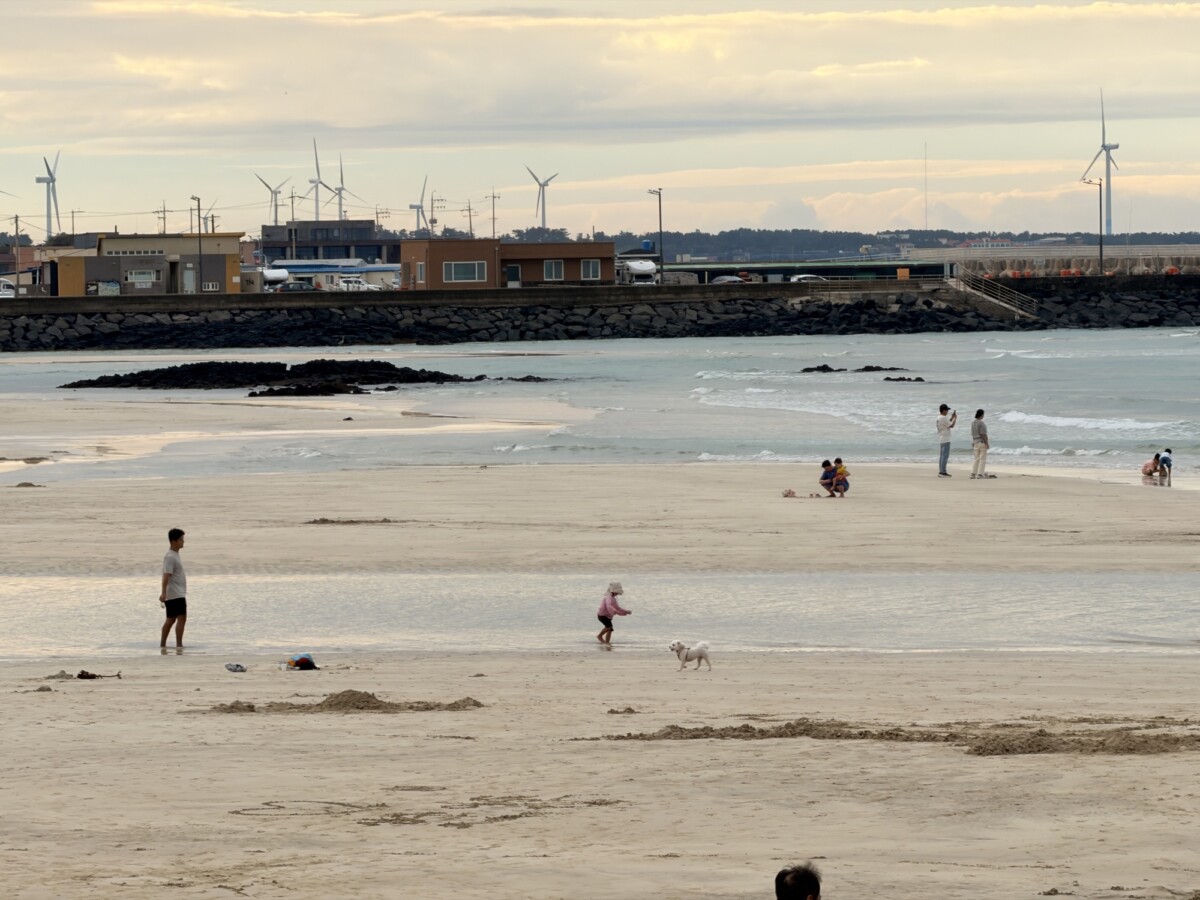 Shallow shoreline and exposed sand at Sehwa Beach